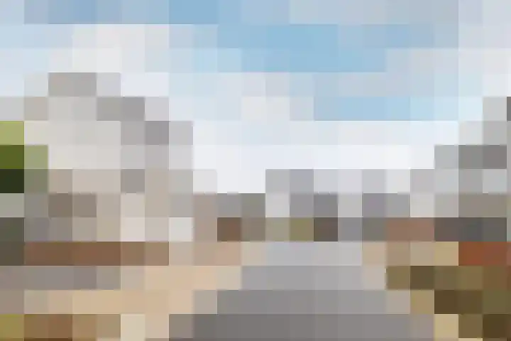 Slingerbos 15 Breda thumbnail 31