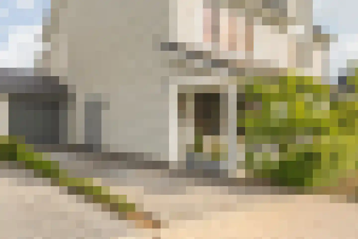 Slingerbos 38 Breda thumbnail 11