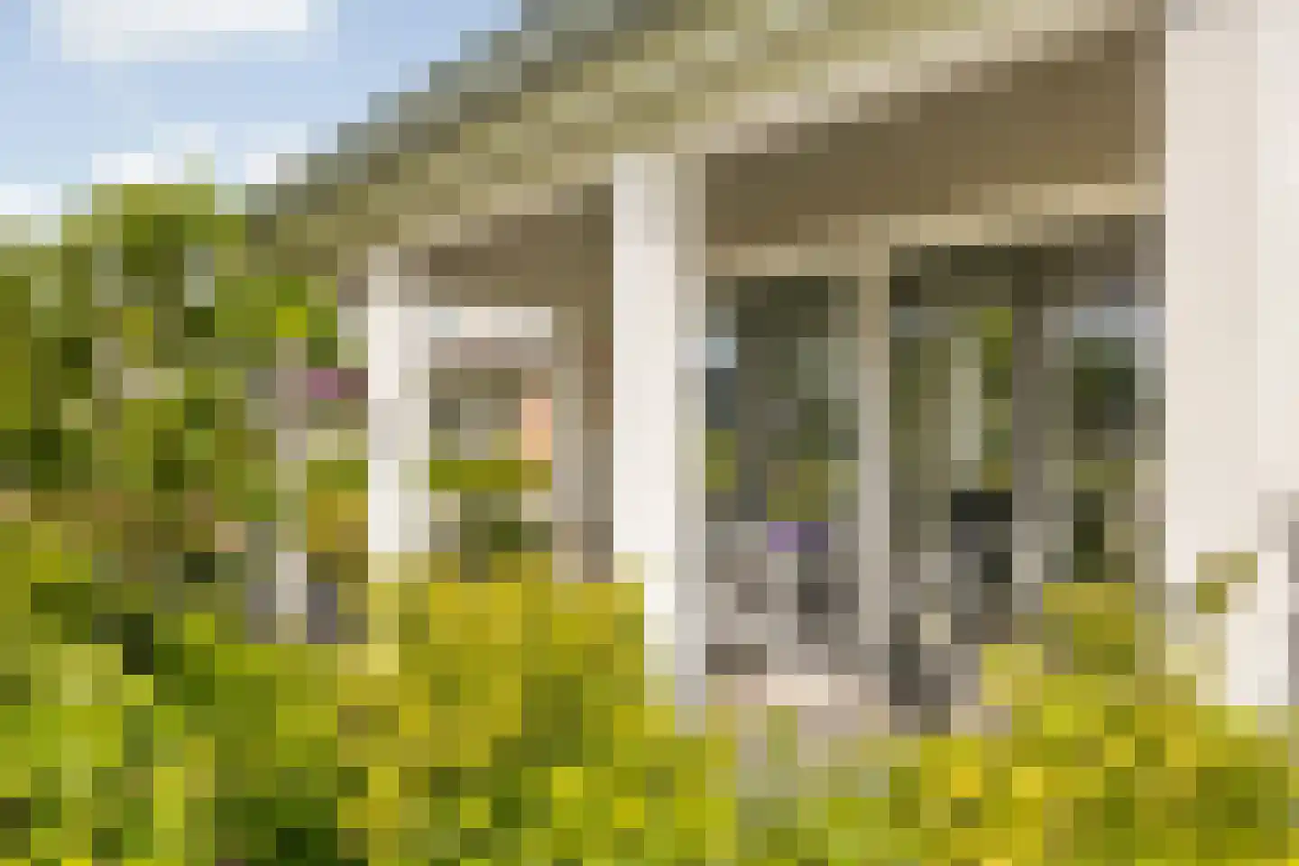 Slingerbos 38 Breda thumbnail 12