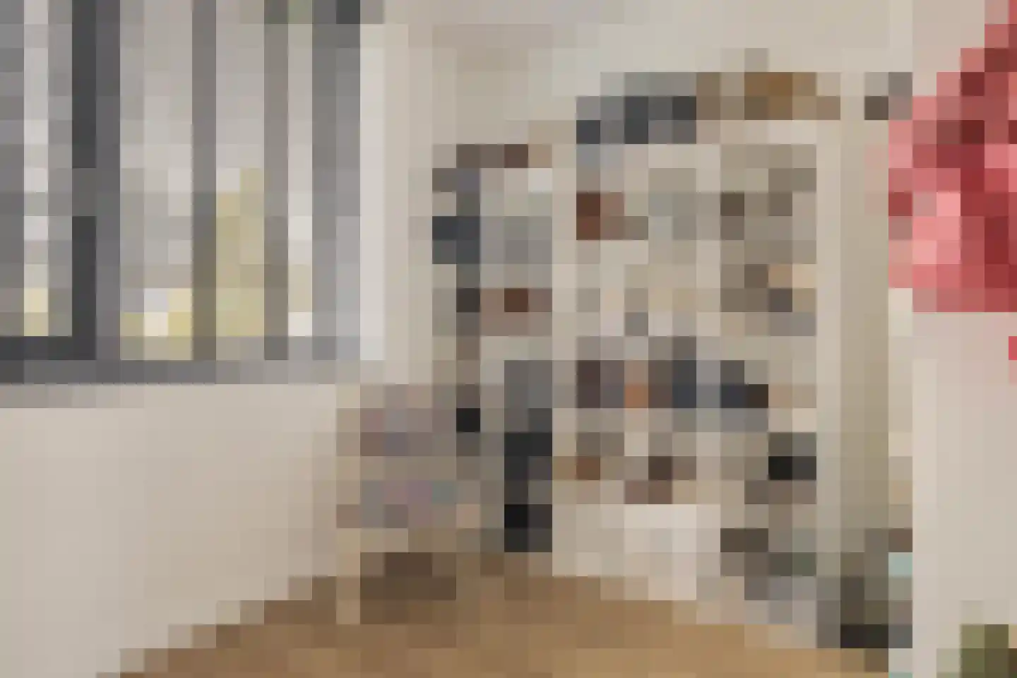 Slingerbos 38 Breda thumbnail 43