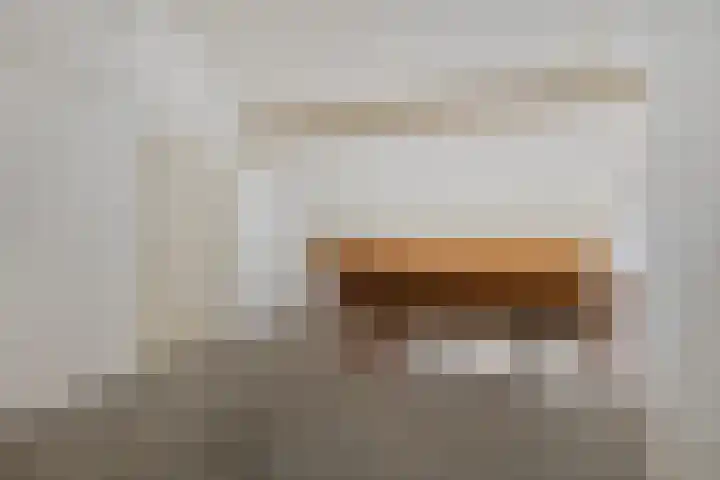 Slingerbos 43 Oirschot thumbnail 30