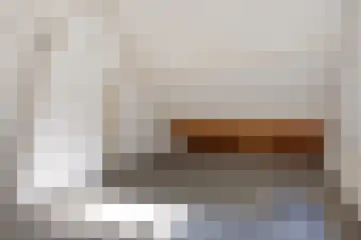 Slingerbos 43 Oirschot thumbnail 32