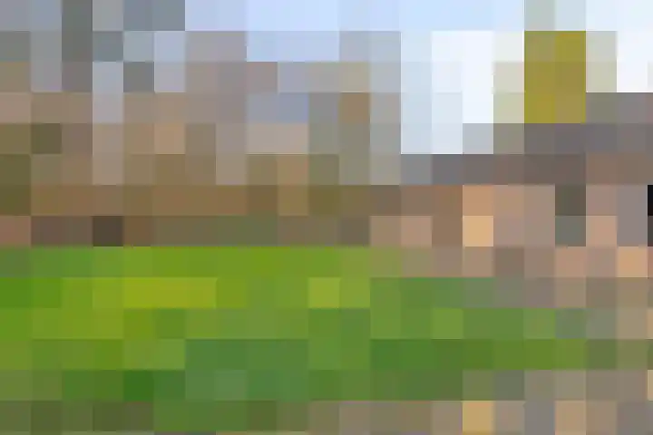 Slingerbos 43 Oirschot thumbnail 35
