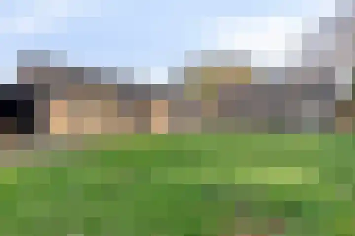 Slingerbos 43 Oirschot thumbnail 36
