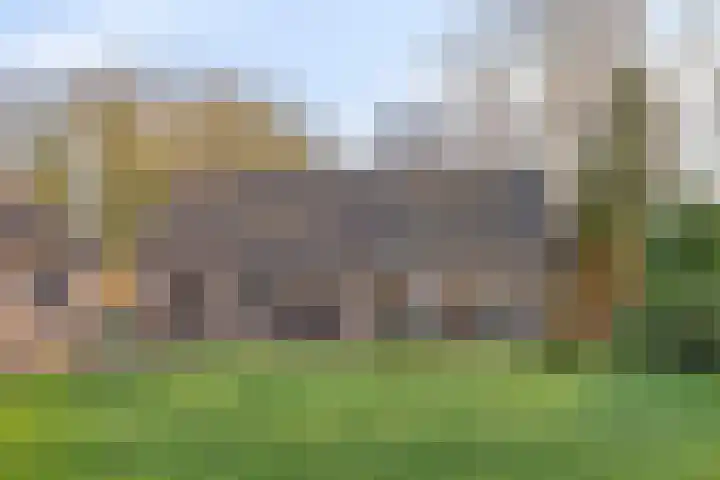 Slingerbos 43 Oirschot thumbnail 37