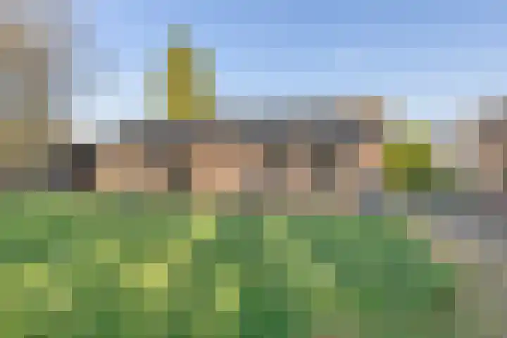 Slingerbos 43 Oirschot thumbnail 38