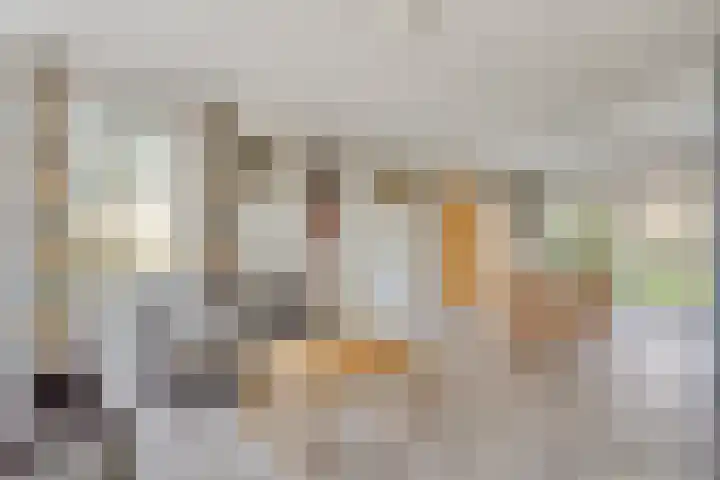 Slingerbos 43 Oirschot thumbnail 9