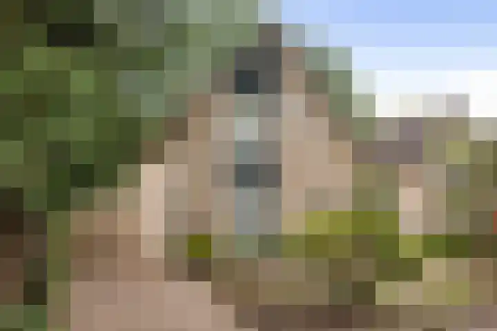 Slingerbos 6 B Diepenveen thumbnail 4