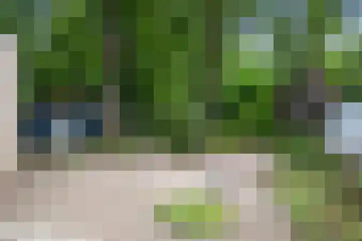 Slingerbos 6 B Diepenveen thumbnail 45