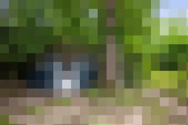 Slingerbos 6 B Diepenveen thumbnail 46
