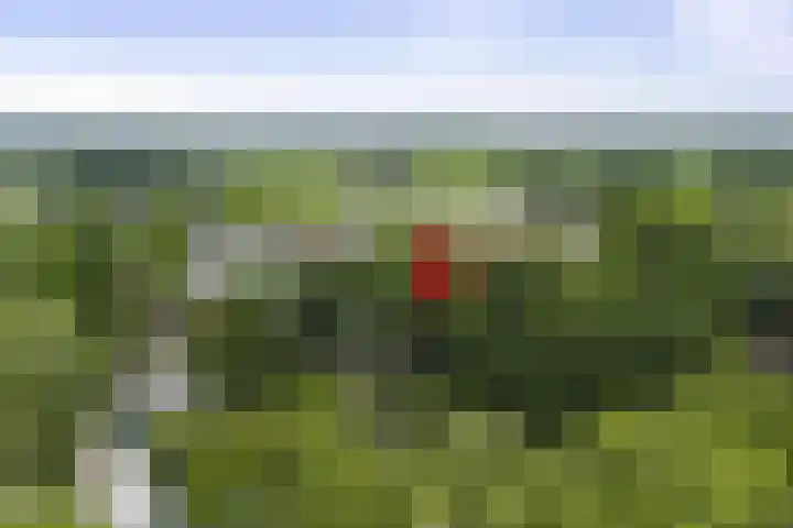 Slingerbos 6 B Diepenveen thumbnail 5
