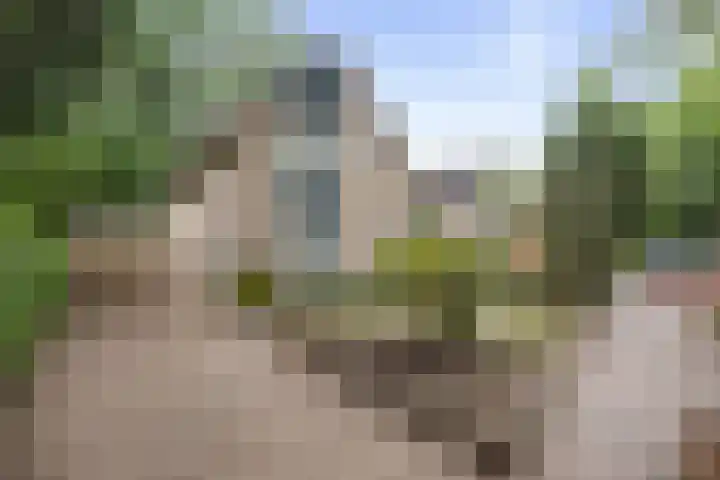 Slingerbos 6 B Diepenveen thumbnail 52