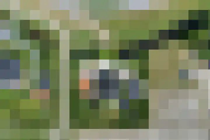 Slingerdijk 3 A Oterleek thumbnail 36