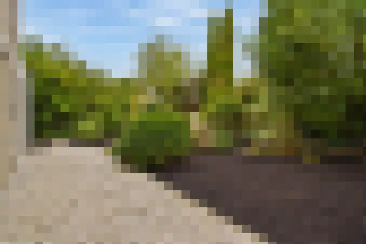 Slingerduin 3 Amstelveen thumbnail 10