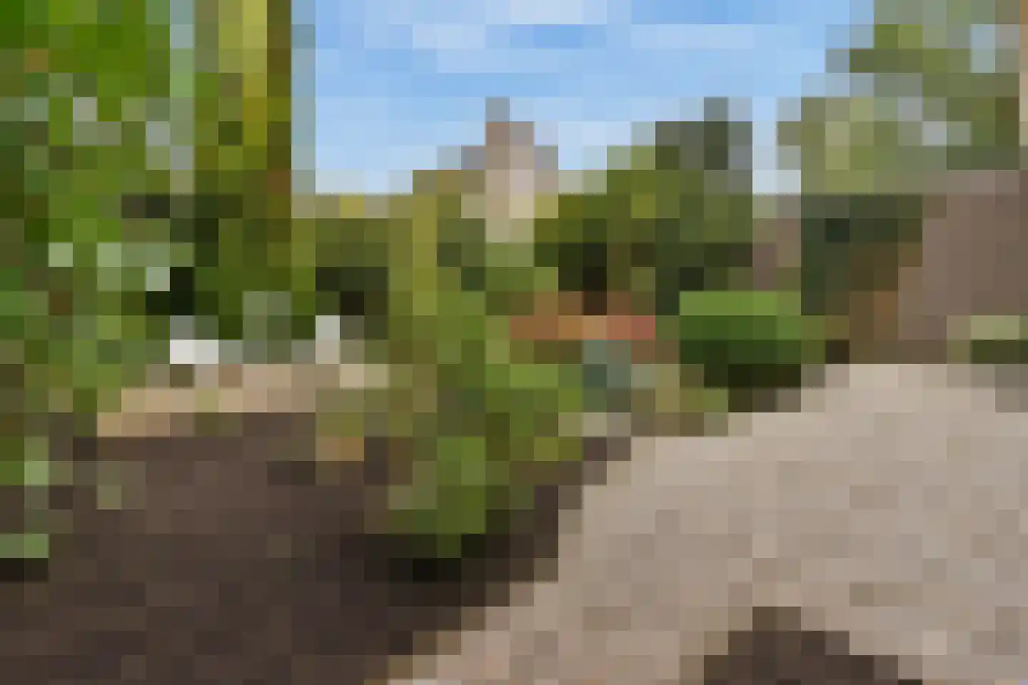 Slingerduin 3 Amstelveen thumbnail 11