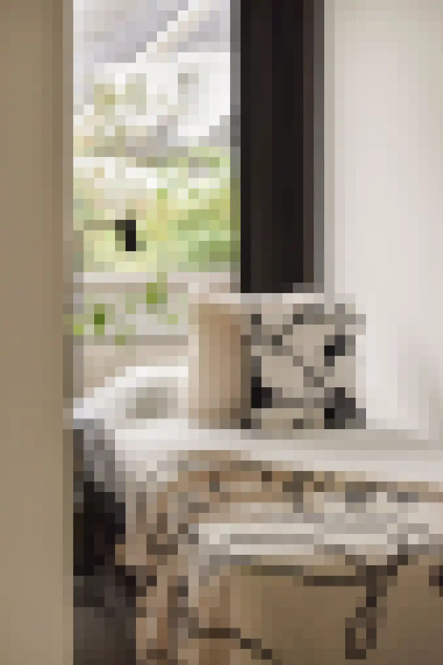 Slingerduin 3 Amstelveen thumbnail 20