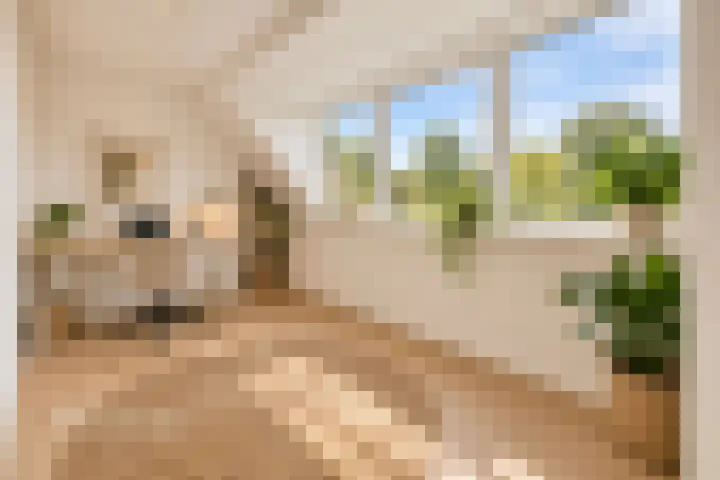 Slingerduin 3 Amstelveen thumbnail 25
