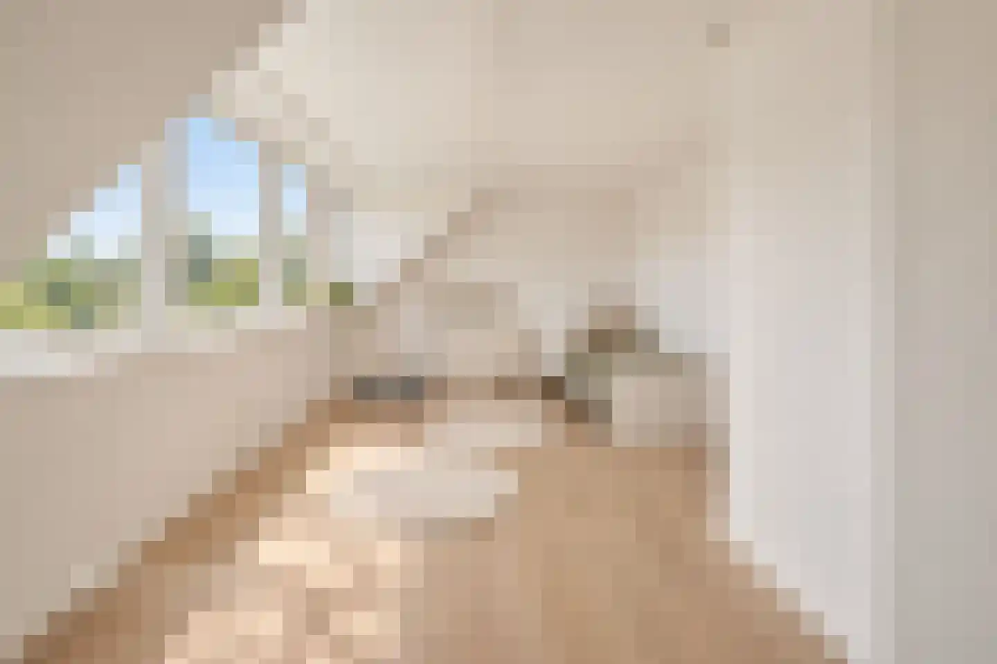 Slingerduin 3 Amstelveen thumbnail 28