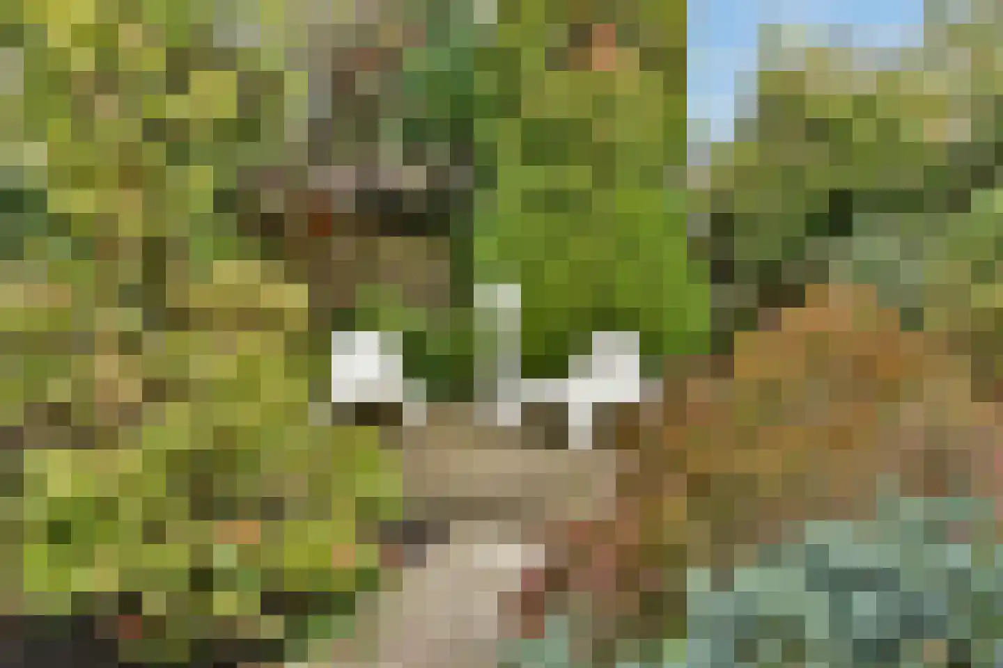 Slingerduin 3 Amstelveen thumbnail 31