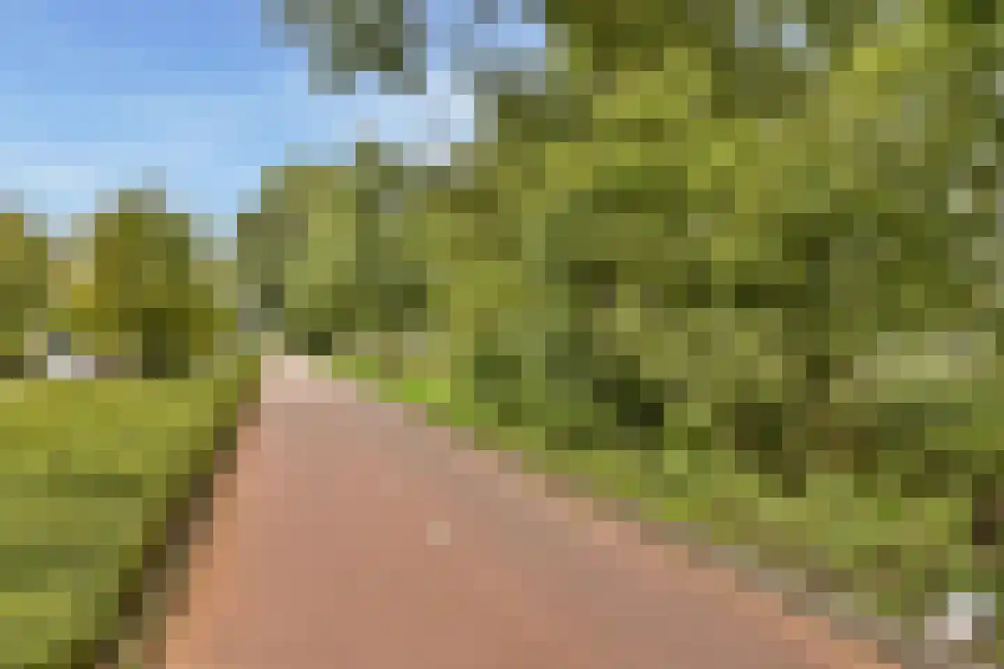 Slingerduin 3 Amstelveen thumbnail 33