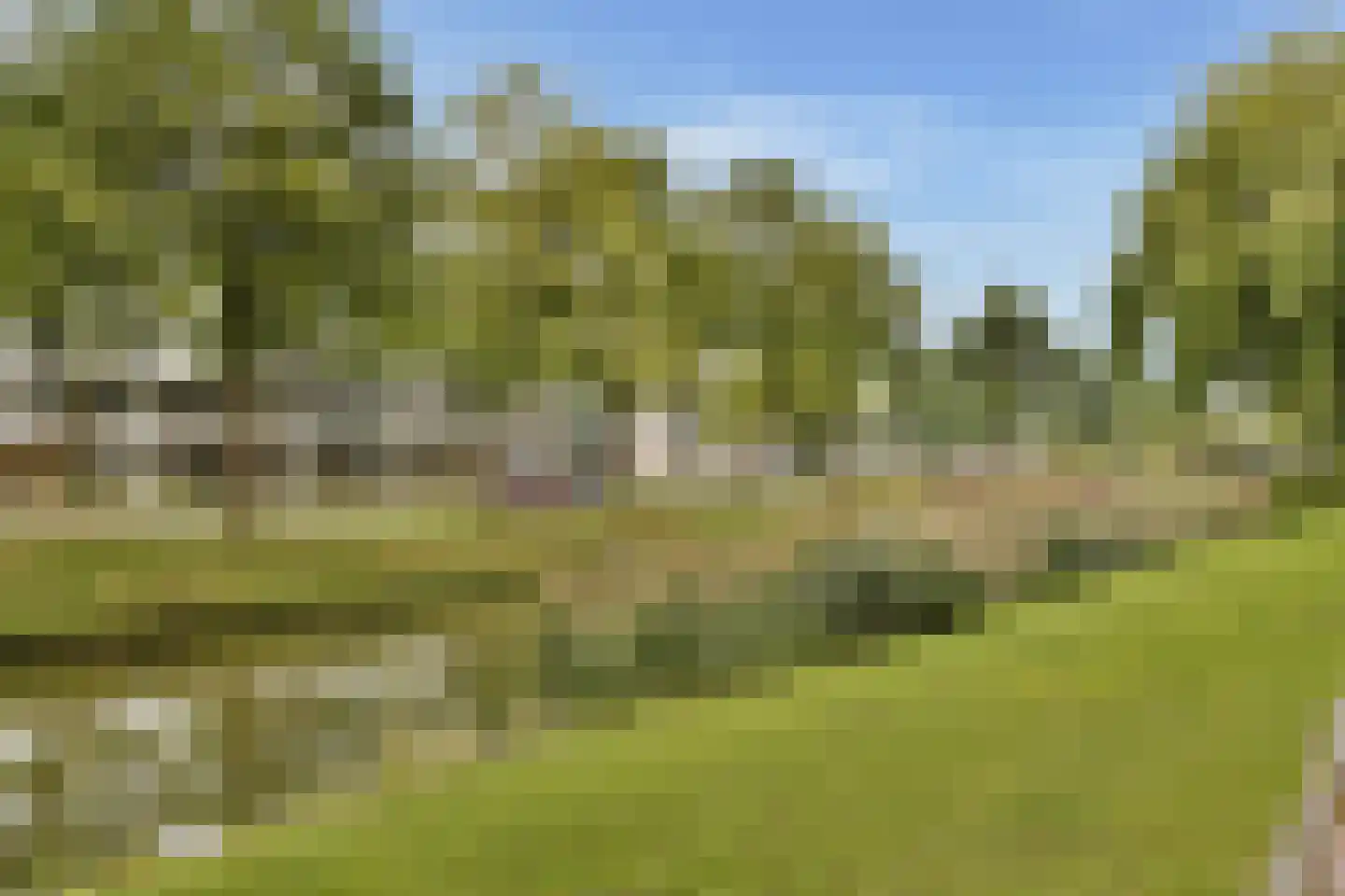 Slingerduin 3 Amstelveen thumbnail 34