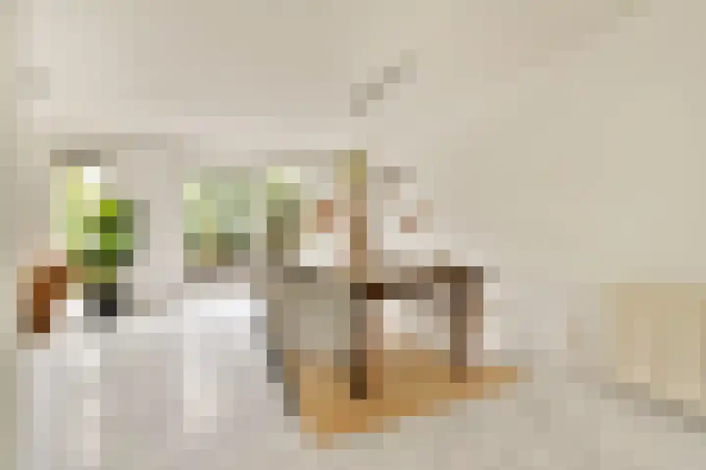 Slingerduin 3 Amstelveen thumbnail 6