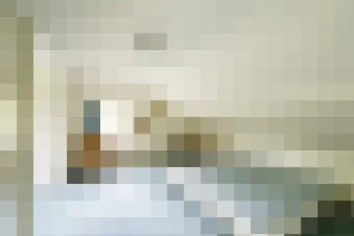 Slingerduinlaan 2 IJmuiden thumbnail 22
