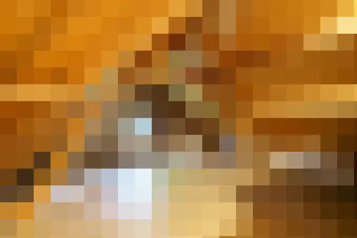 Slingerduinlaan 2 IJmuiden thumbnail 24