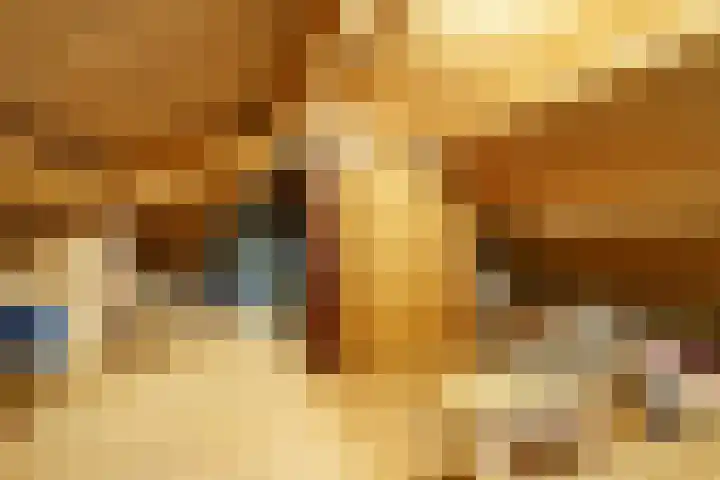 Slingerduinlaan 2 IJmuiden thumbnail 26