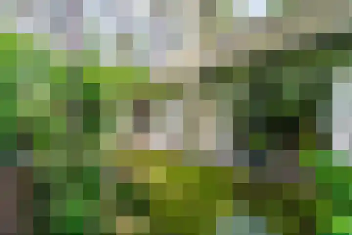 Slingerduinlaan 2 IJmuiden thumbnail 31