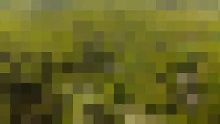 Slingerduinlaan 2 IJmuiden thumbnail 33