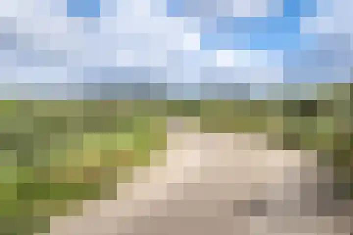 Slingerduinlaan 2 IJmuiden thumbnail 35