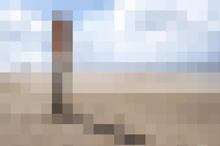 Slingerduinlaan 2 IJmuiden thumbnail 36