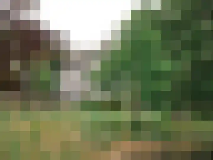 Slingerduinlaan 2 IJmuiden thumbnail 38