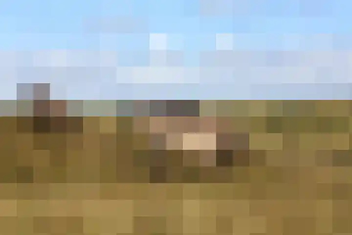 Slingerduinlaan 2 IJmuiden thumbnail 39