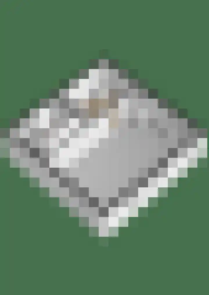 Slingerduinlaan 2 IJmuiden thumbnail 48