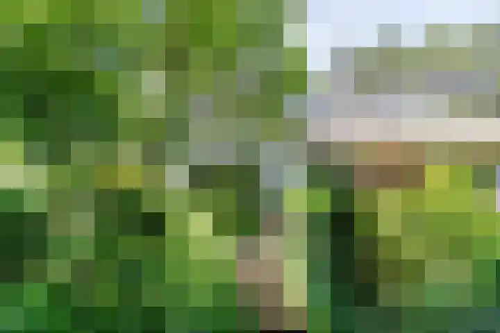 Slingerduinlaan 2 IJmuiden thumbnail 6