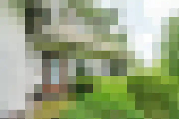Slingerduinlaan 2 IJmuiden thumbnail 7