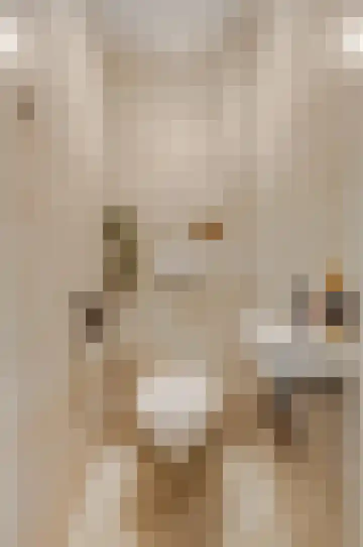 Slingerlaan 15 Otterlo thumbnail 10