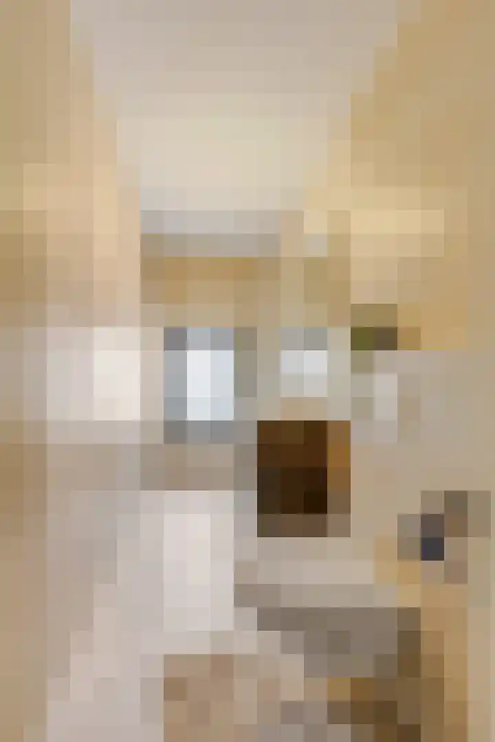 Slingerlaan 15 Otterlo thumbnail 38