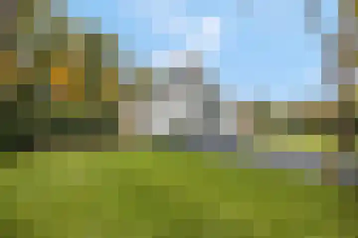 Slingerlaan 15 Otterlo thumbnail 41
