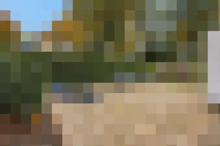 Slingerlaan 15 Otterlo thumbnail 48