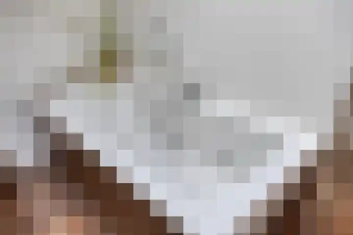 Slingerlaan 3 Otterlo thumbnail 38