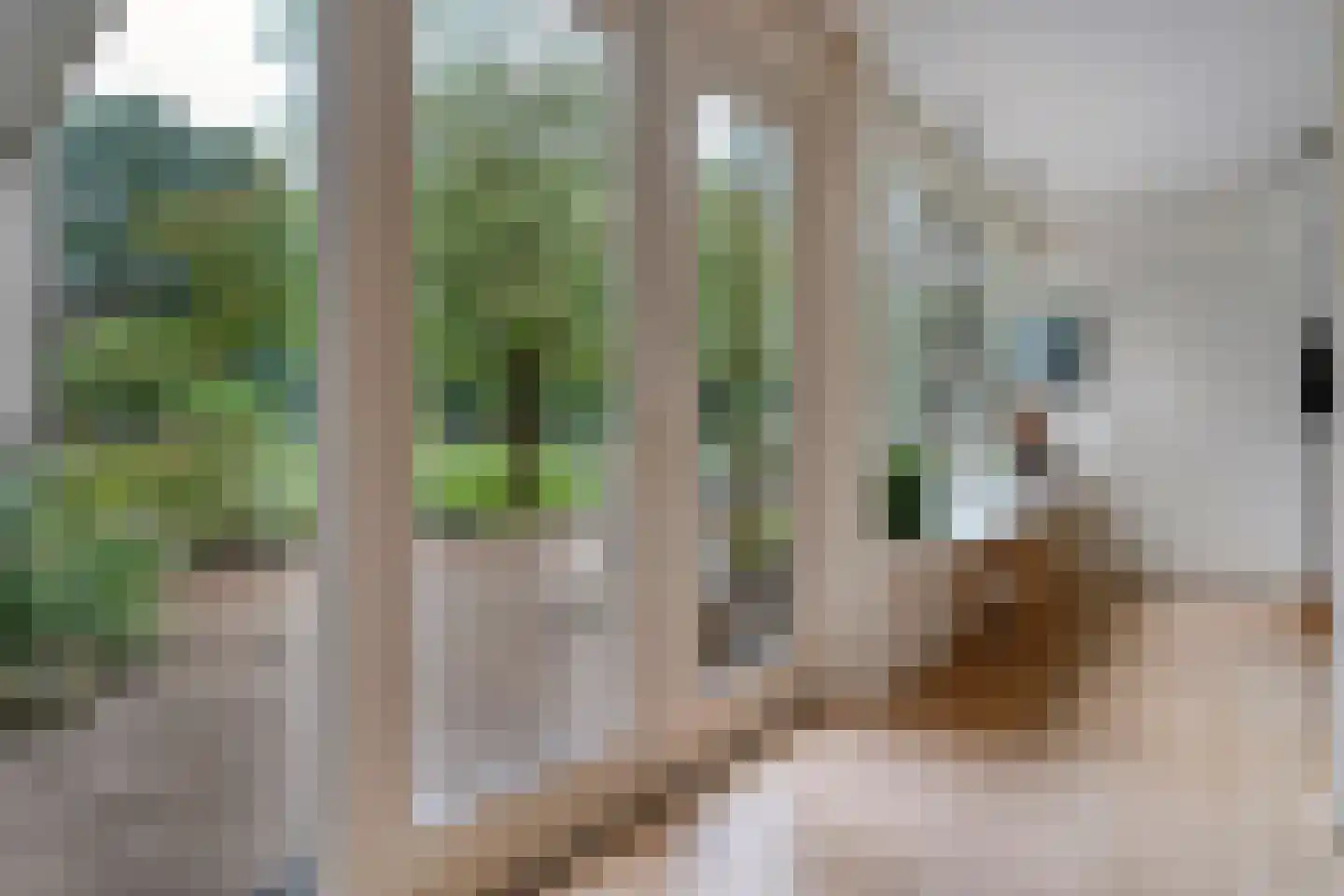 Slingerlaantje 10 Dalfsen thumbnail 18