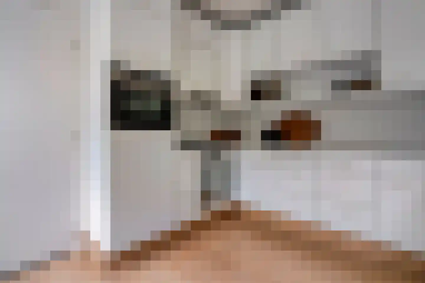 Slingerlaantje 10 Dalfsen thumbnail 19