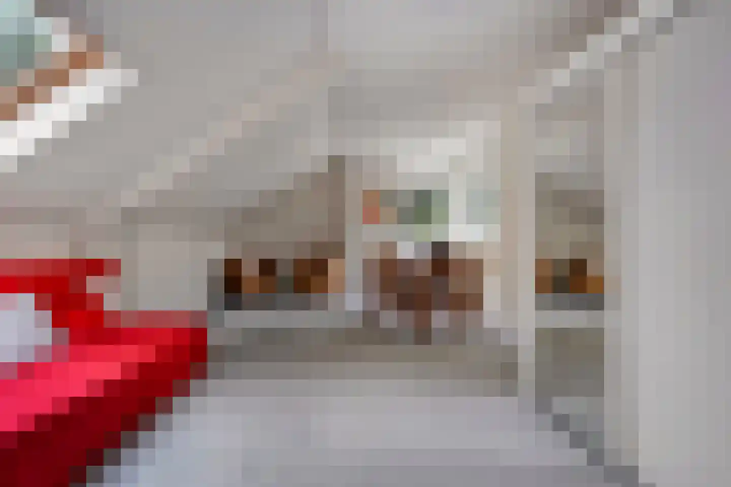 Slingerlaantje 10 Dalfsen thumbnail 39