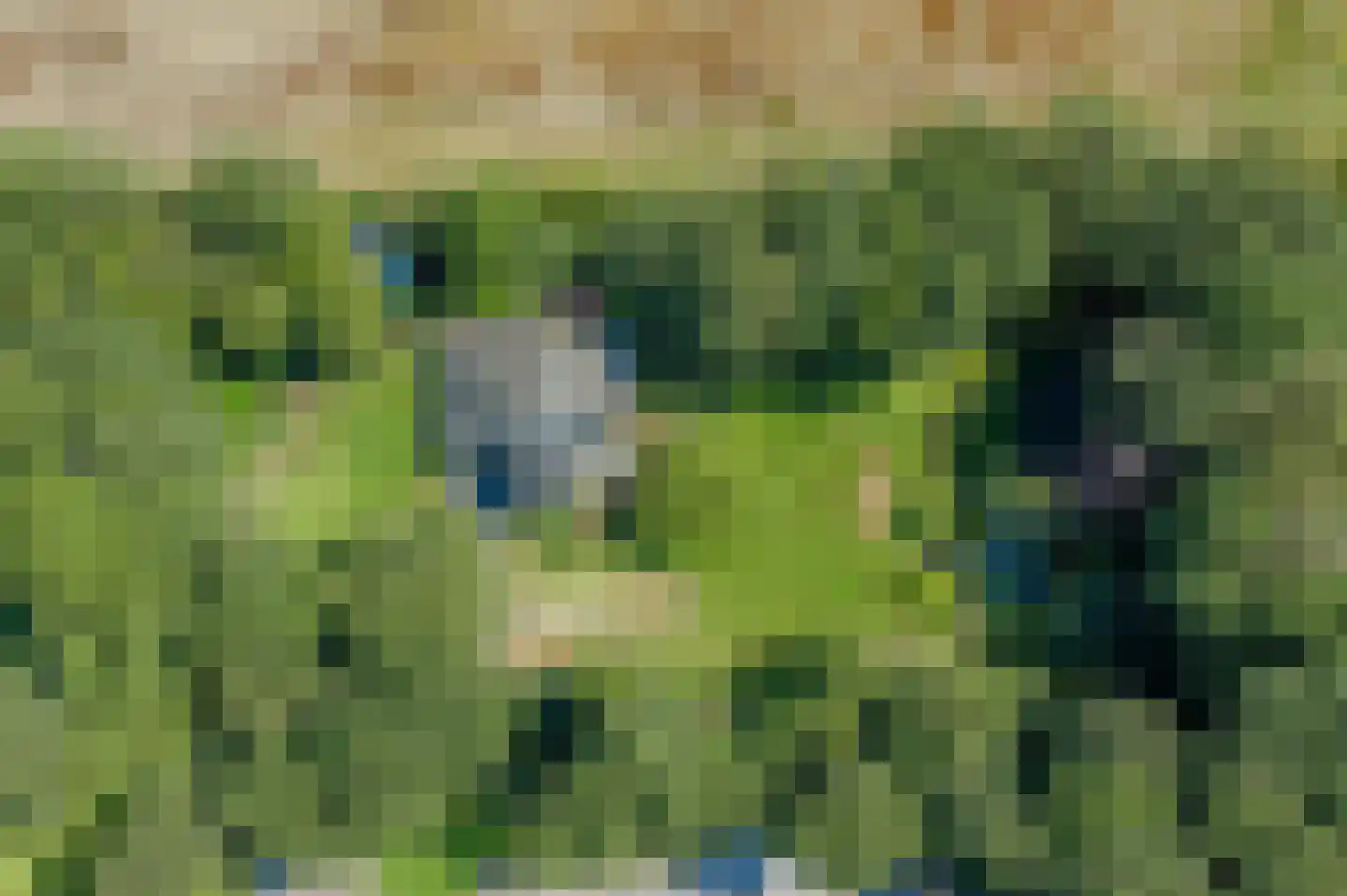 Slingerlaantje 10 Dalfsen thumbnail 4