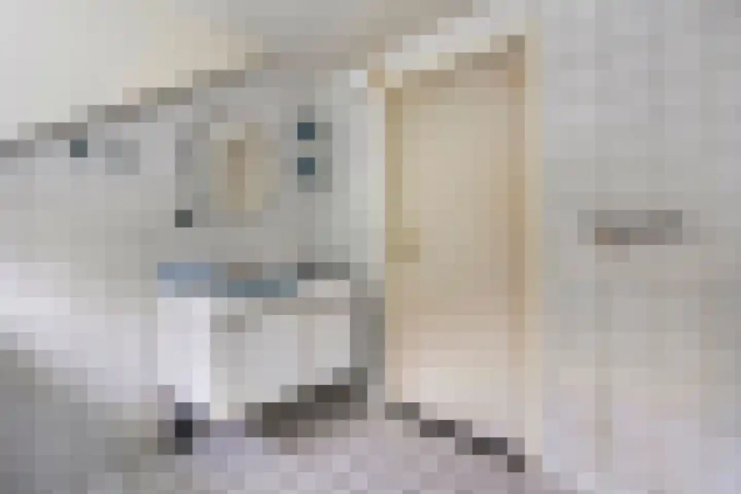 Slingerlaantje 10 Dalfsen thumbnail 47