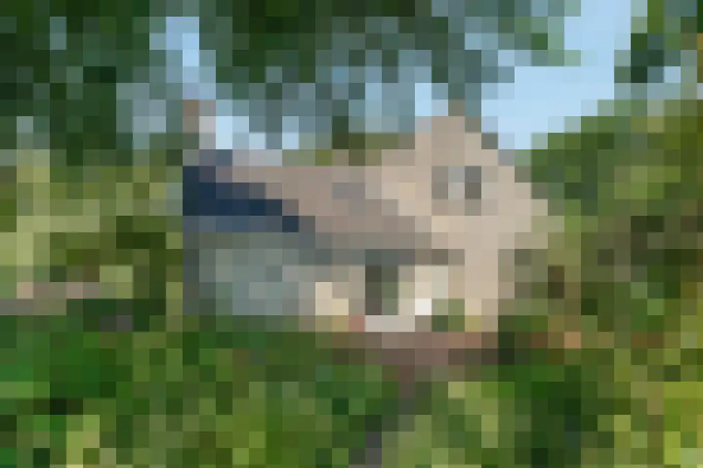 Slingerlaantje 10 Dalfsen thumbnail 56