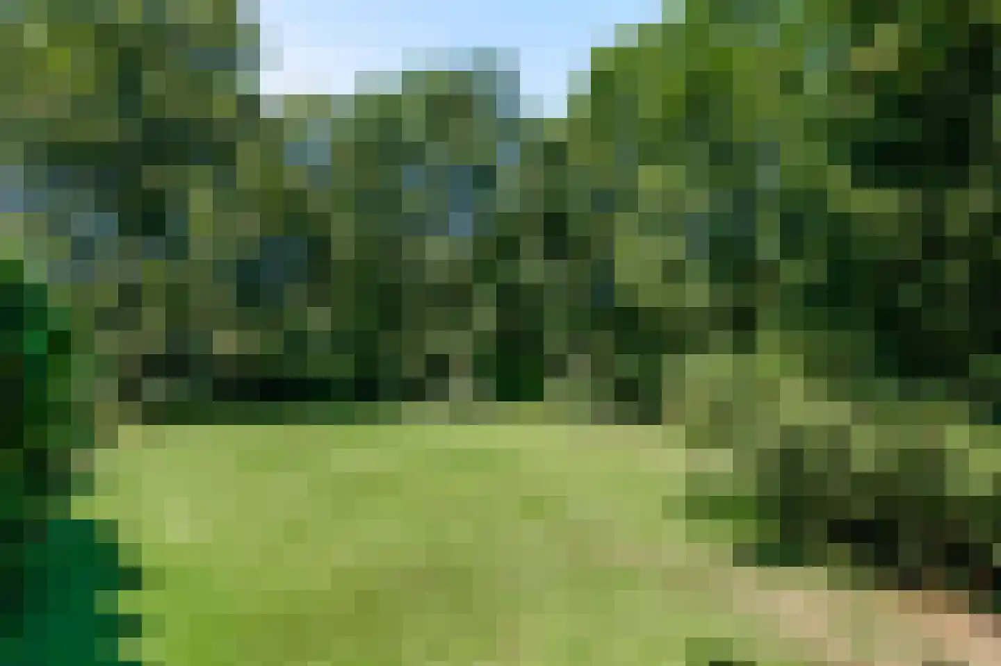 Slingerlaantje 10 Dalfsen thumbnail 58